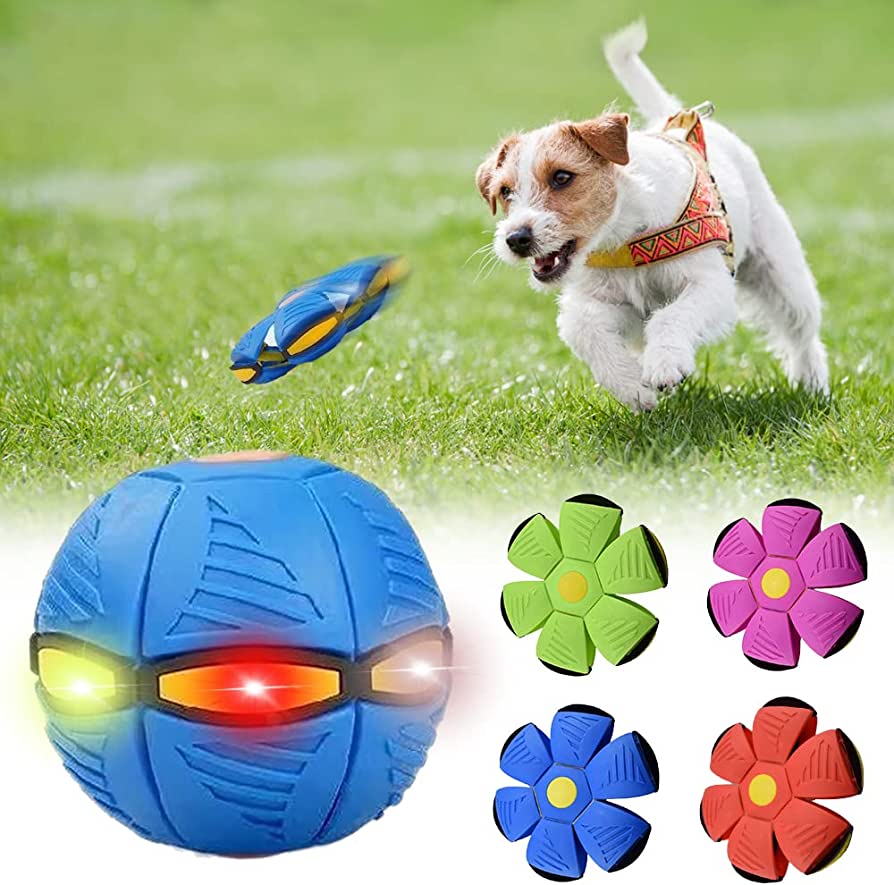 Pawtastic™ Dog Frisbee