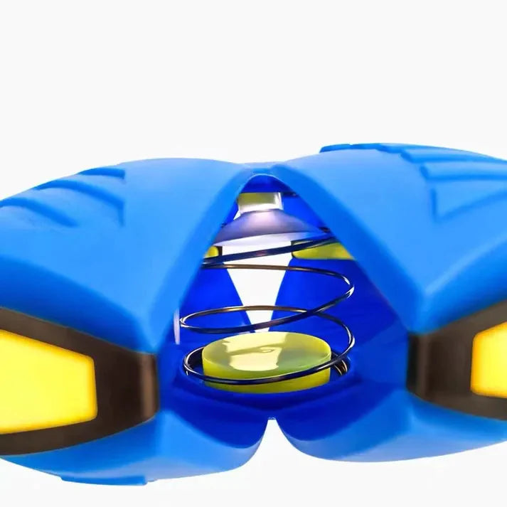 Pawtastic™ Dog Frisbee