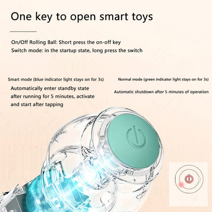 Pawtastic Interactive Ball