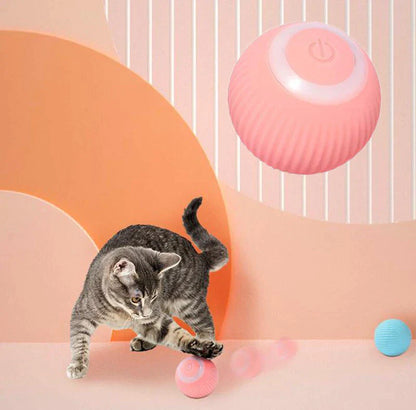 Pawtastic Interactive Ball