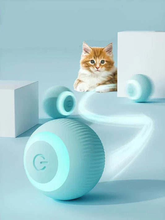 Pawtastic Interactive Ball