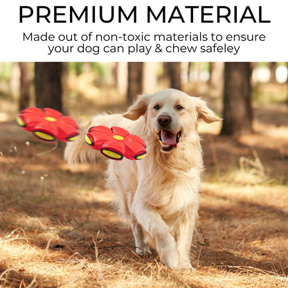 Pawtastic™ Dog Frisbee