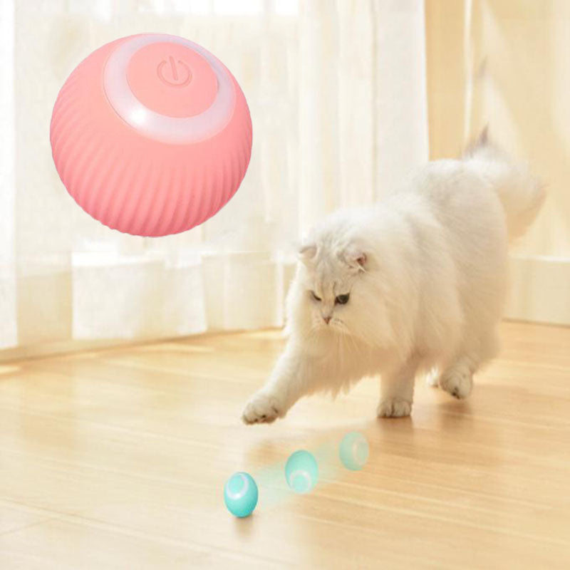Pawtastic Interactive Ball