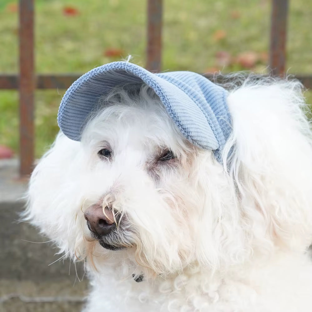 Pawtastic Dog Baseball Cap