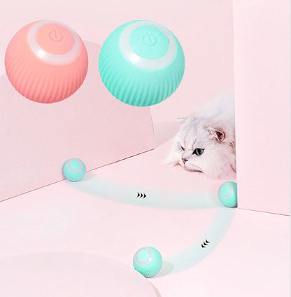 Pawtastic Interactive Ball